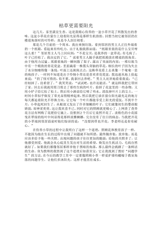 枯草更需要阳光