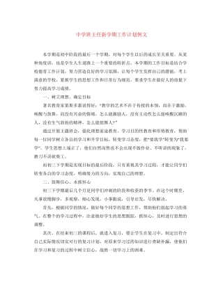 班主任新学期工作计划例文