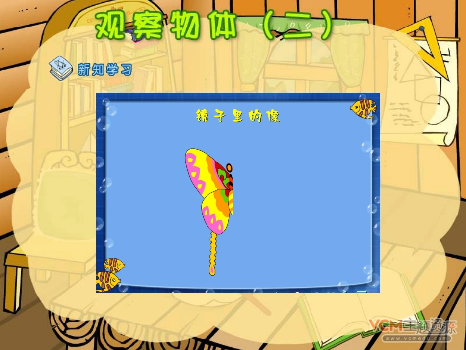 观察物体（二）_第3页