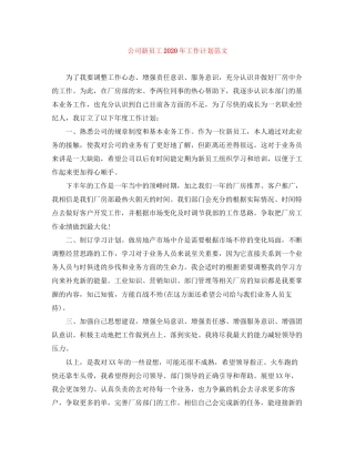 公司新员工年工作计划范文