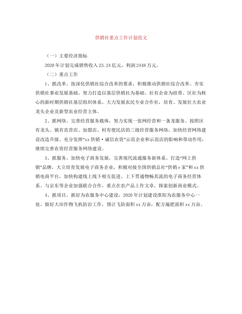 供销社重点工作计划范文_第1页