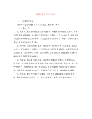 供销社重点工作计划范文