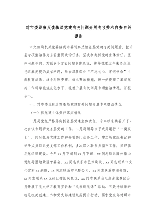 对市委巡察反馈基层党建有关问题开展专项整治自查自纠报告