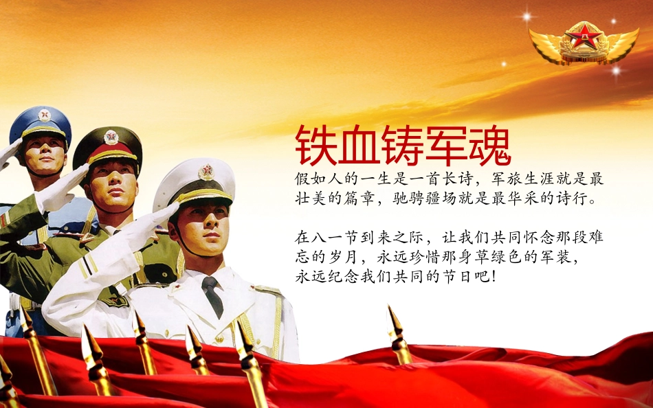 模板热血铸军魂_第3页