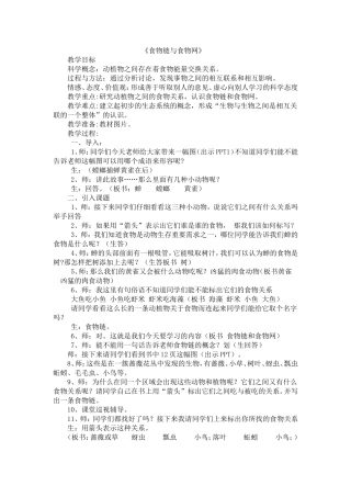 食物链与食物网