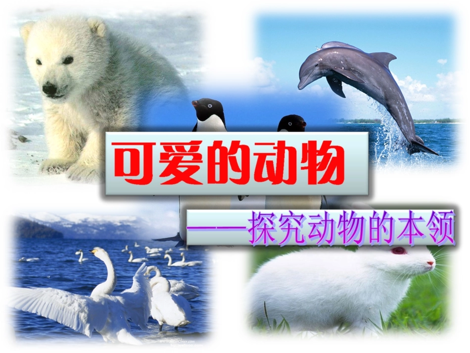 探究动物的本领_第2页