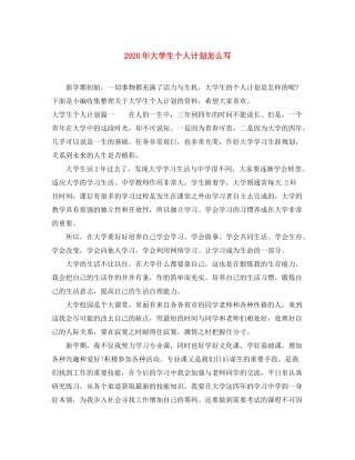 2020年大学生个人计划怎么写