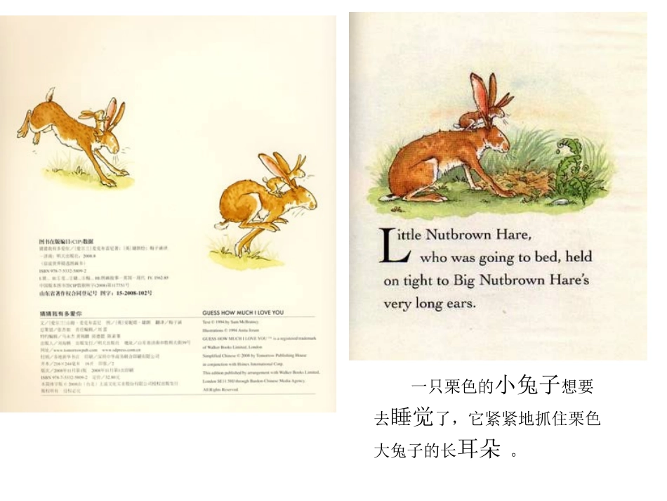 猜猜我有多爱你_第2页