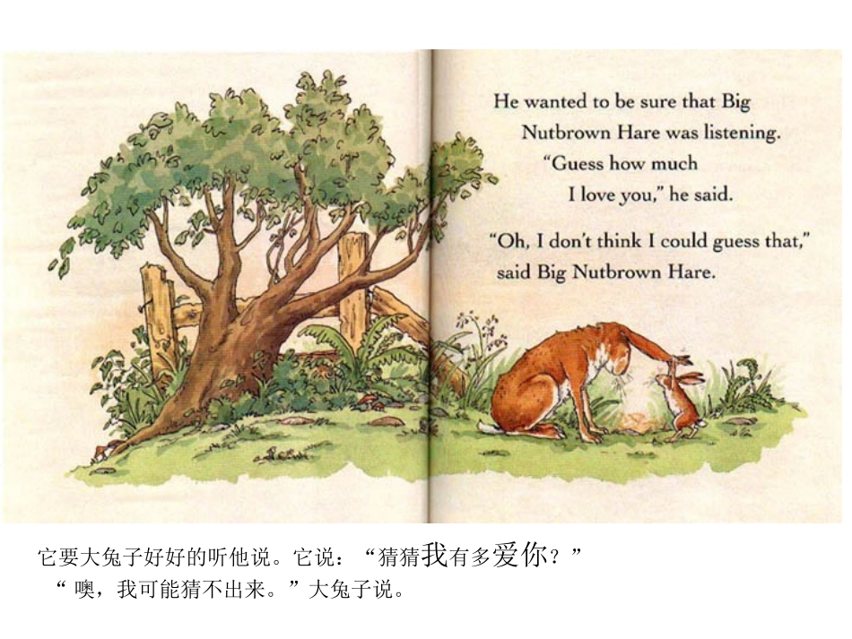 猜猜我有多爱你_第3页