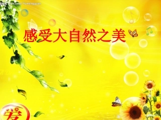 感受大自然之美