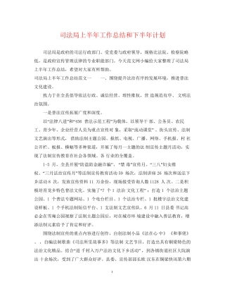 司法局上半年工作总结和下半年计划