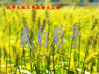 我的影子课件1