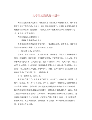 大学生实践执行计划书
