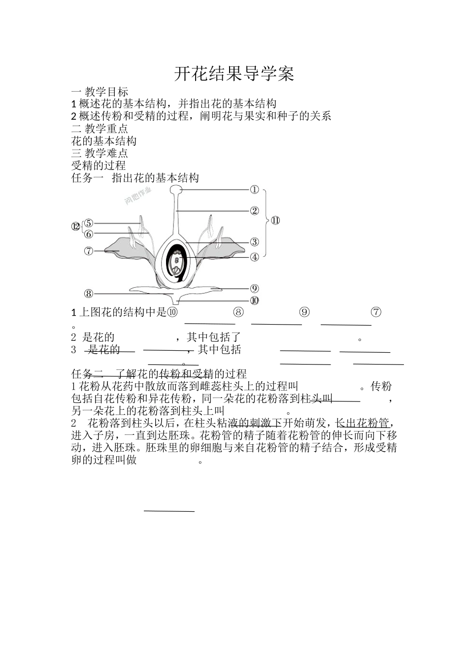开花结果导学案_第1页