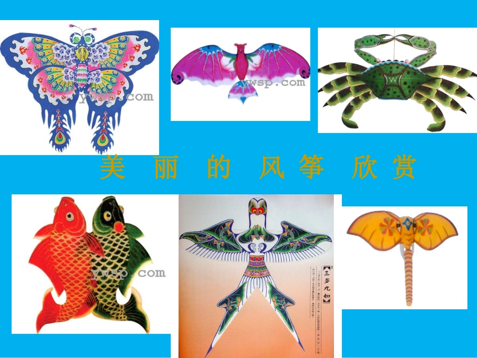 欣赏美丽的风筝_第2页