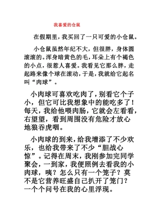 我喜爱的仓鼠