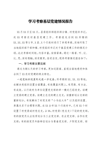 学习考察基层党建情况报告