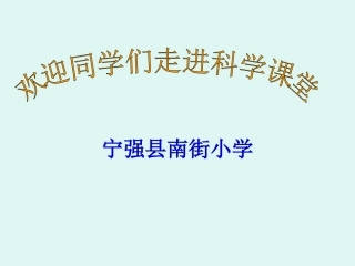 身体的结构课件