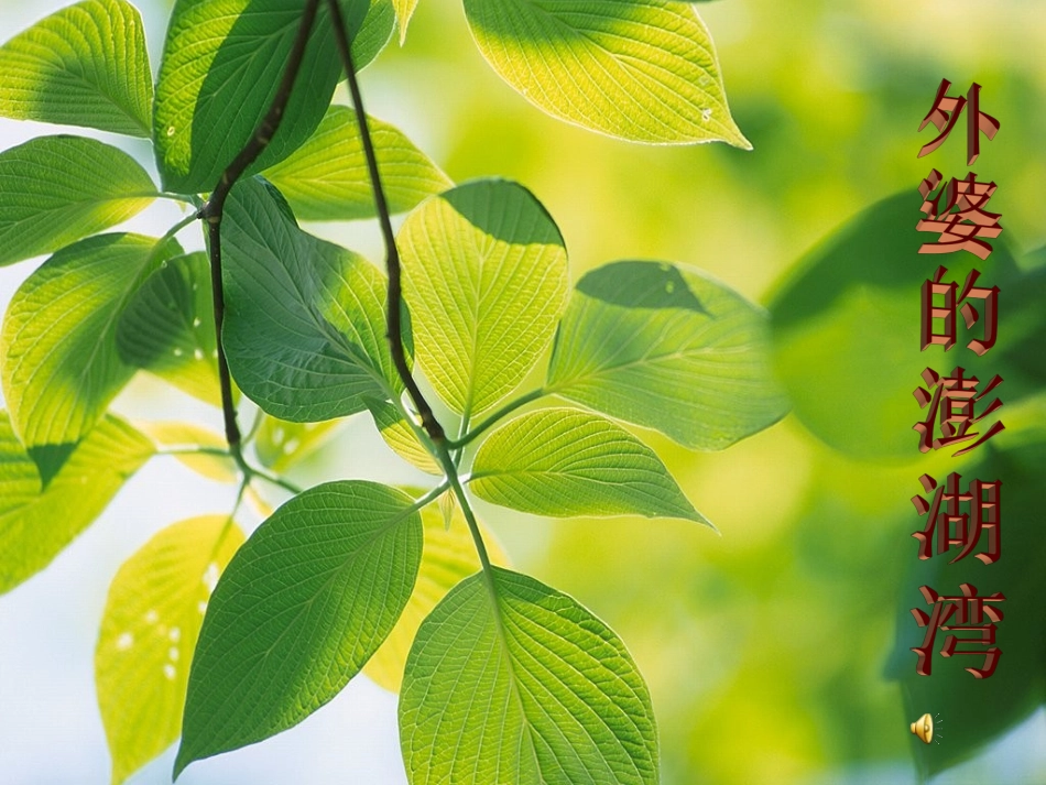 外婆的澎湖湾1_第1页