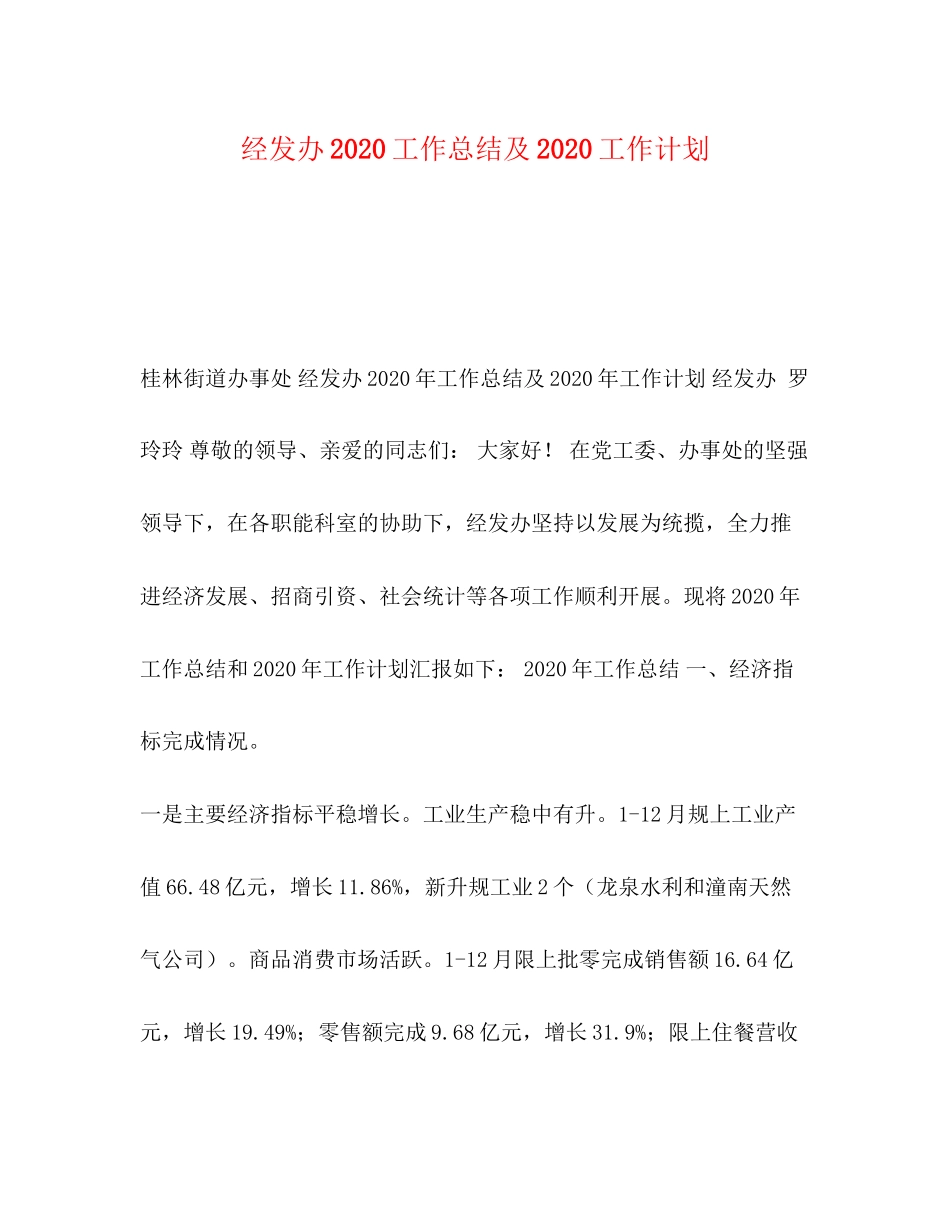 经发办工作总结及工作计划_第1页