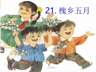 槐乡五月课件