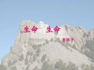 生命生命 (3)
