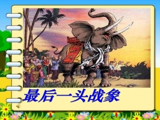 最后一头战象1