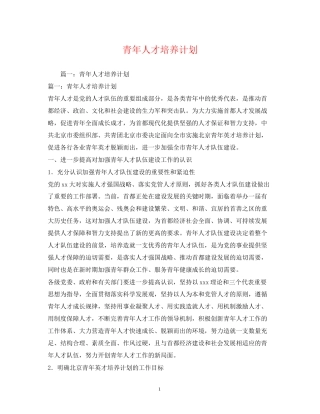 青年人才培养计划