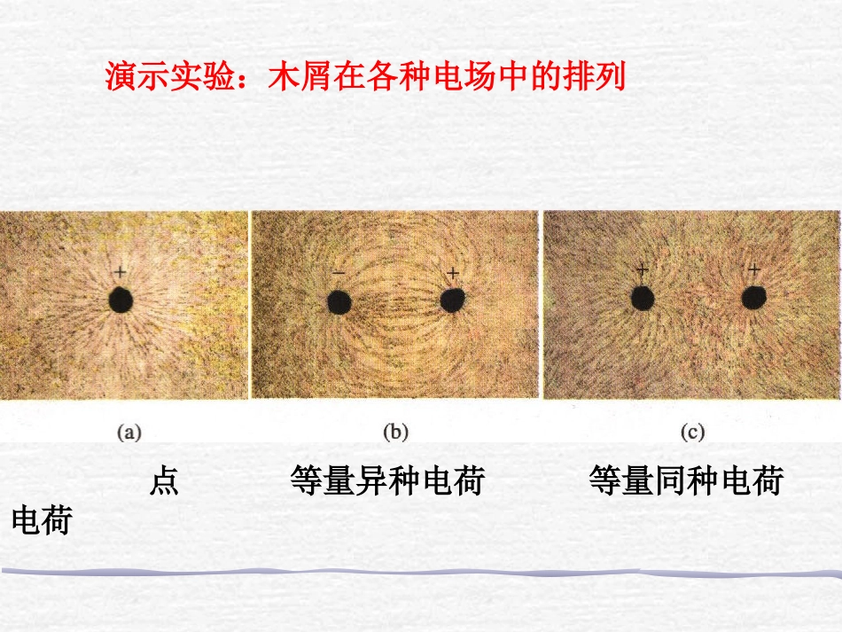 电场线公开课_第3页