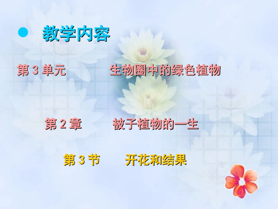 开花和结果正稿_第2页