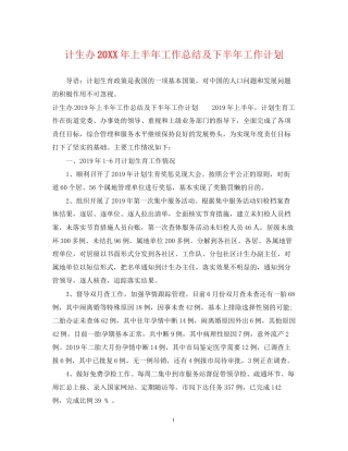 计生办上半年工作总结及下半年工作计划