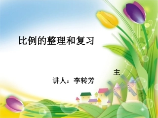 比例整理和复习