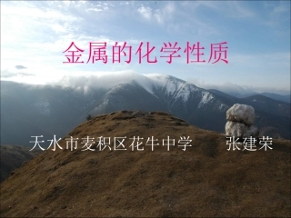 金属化学性质