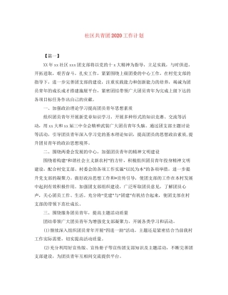 社区共青团工作计划
