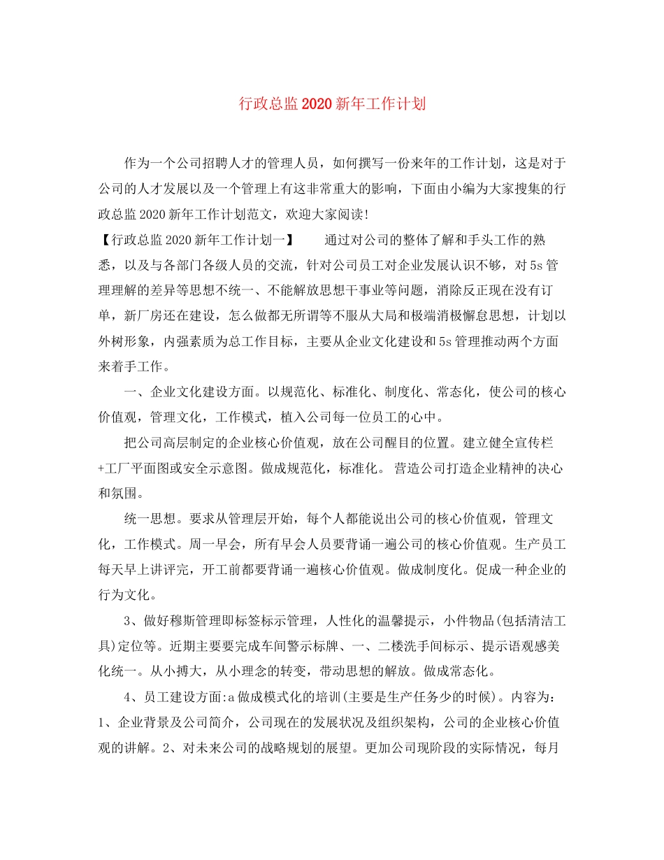 行政总监新年工作计划_第1页