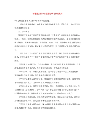 2020年稽查大队中心组理论学习计划范文