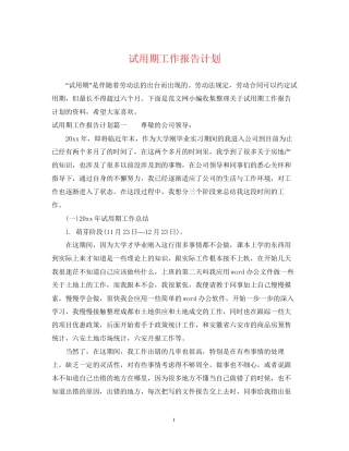 试用期工作报告计划