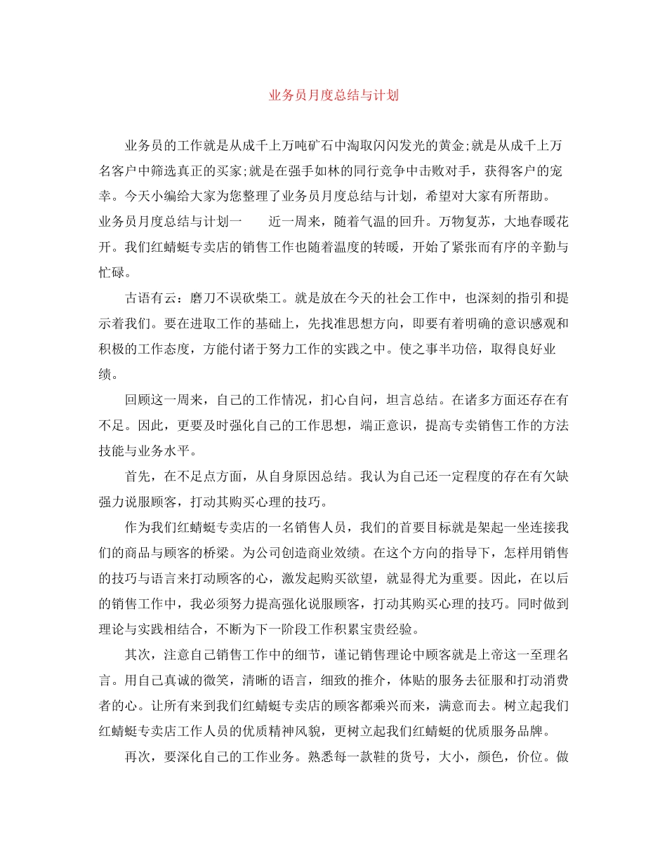 业务员月度总结与计划_第1页
