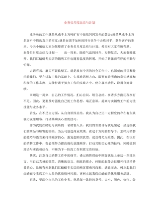 业务员月度总结与计划