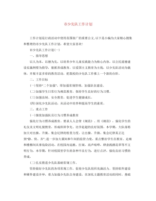 市少先队工作计划