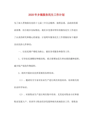 2020年乡镇服务民生工作计划