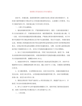 农经的工作总结及工作计划范文