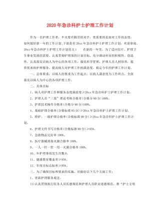 2020年急诊科护士护理工作计划