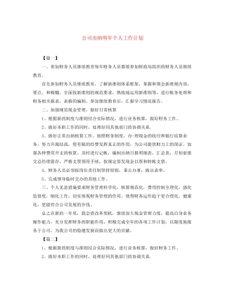 公司出纳明年个人工作计划