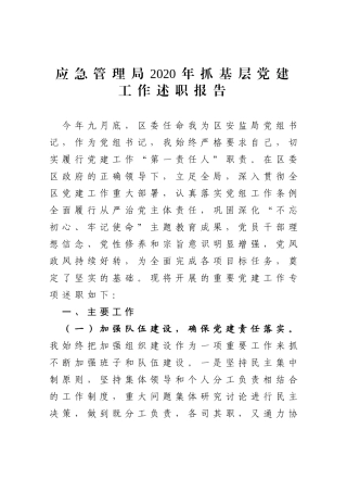 应急管理局2020年抓基层党建工作述职报告
