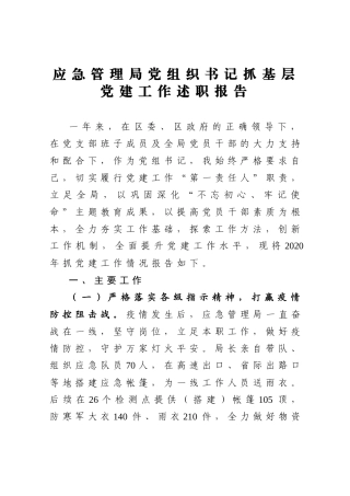 应急管理局党组织书记抓基层党建工作述职报告