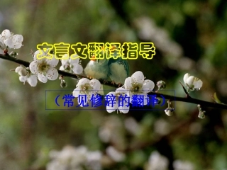 文言翻译指导2