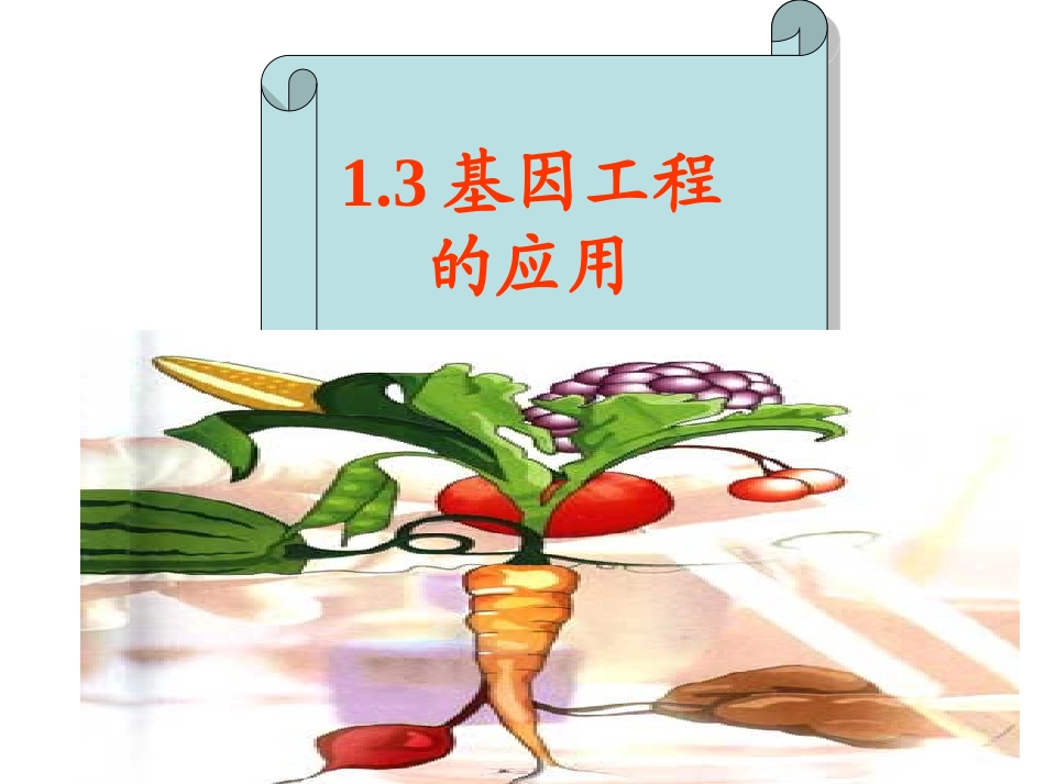 基因工程的应用_第1页