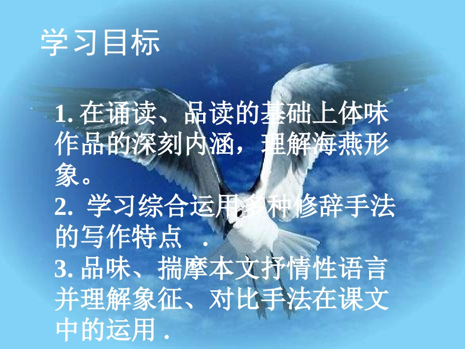 海燕演示课件_第2页