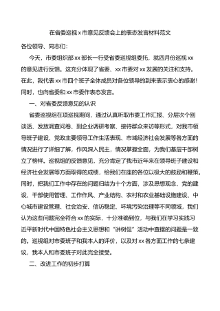 在省委巡视x市意见反馈会上的表态发言材料范文